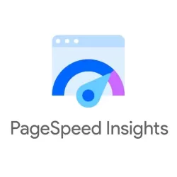 Page Speed Insights